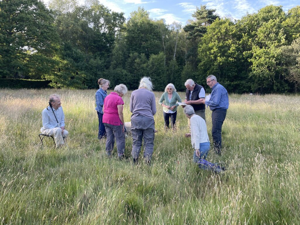 Combined Eco Church/Scaynes Hill Sustainability group around a plant survey quadrat, June 2024.
